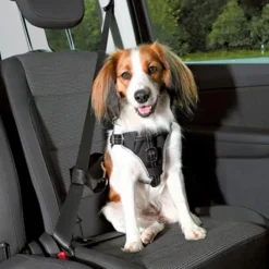 Bilsele | Trixie Dog Protect Sikkerhedssele | OUTLET