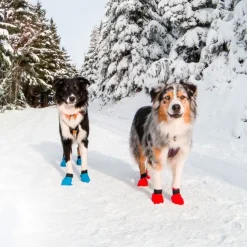 Non-Stop Dogwear Long Distance Bootie 4pk