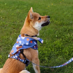 Ollipet City Lux Bandana | Blue Marguerites | OUTLET