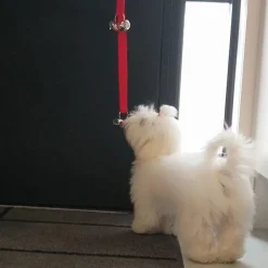 Ollipet Dørklokke Til Hunde