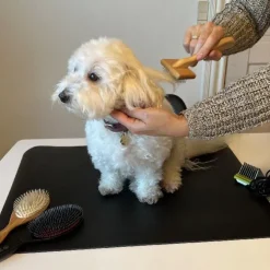Ollipet Groomingmåtte