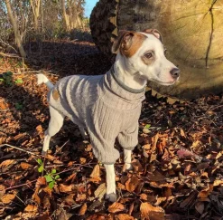 Ollipet Indigo Hyggetrøje