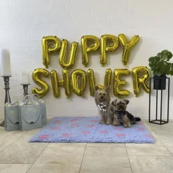 Puppy Shower Ballon