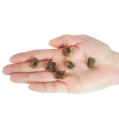 Snack'it Lammeterns Godbidder | 100g